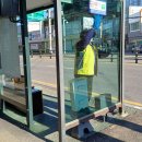 하재은플라워 이미지