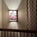 스테이안봉 이미지