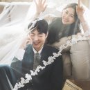 헤이메리 이미지