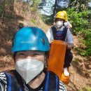 송이밸리자연휴양림 하늘나르기