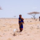 가정1-01-023 이미지