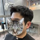 성지남성헤어 | 병점역 남자머리 성지, 정점맨즈헤어 후기 ✂️