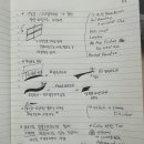 일싸 이미지