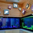 무주반디유치원 이미지