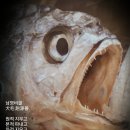 남영 이미지