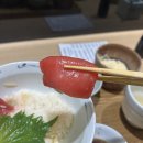 해현식당 | 도쿄 스키지시장 맛집 시겐 Seagen : 인생 참치덮밥 오픈런, 웨이팅하면서 계란말이와 고구마칩까지