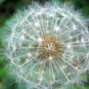 백일에너지 이미지