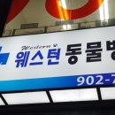 백마동물병원 이미지