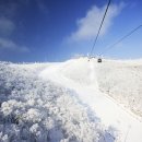 팡팡당구장 이미지