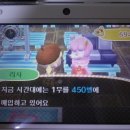 튀동숲 플레이 정리