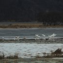 열매촌