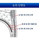 부분밖의 부분 이미지