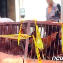 이종현농장 이미지