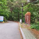 천동비로봉펜션민박 | {제천단체펜션 갈잎소} 소백산철쭉제 등반 - 충북 단양
