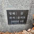 골드페르소나 이미지