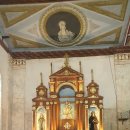 경이로운커피 | 보홀 3편｜경이로운 고래상어 투어부터 귀여운 타르시어(안경원숭이) 투어 그리고 노을지는 일몰 맛집...