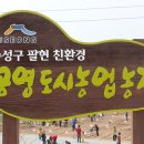 숙녀농장 이미지