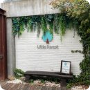 포레스트 경주(Forest 경주) 이미지