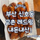 교촌치킨 신호점 | 부산 신호동 교촌 레드윙 내돈내산!