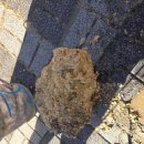 산호동350 이미지