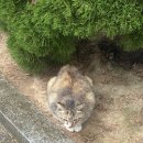 신나호텔 이미지