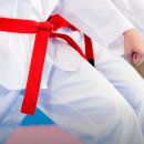 용인대박사백호태권도장 | 😊용인대박사 백호태권도장 – 용인 태권도·유아체육·인성교육 전문 도장