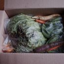 준혁농장 이미지