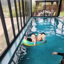 코코마루 이미지