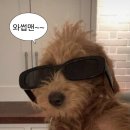 왁싱하리 - 강남구 선릉로 431 | 선릉역 브라질리언왁싱 헤어라인왁싱 추천 👍 ' 왁싱하리 '