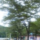 보경사고향식당 이미지