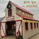 팔당 카페>크리스마스 트리 맛집 봉주르팔당 , 경기도 크리스마스트리 카페 평일 오전 후기,애견동반카페
