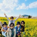 동산카써비스 | 제주도 렌터카 기사포함 제주 쏠라티 대여로 편안했던 여행