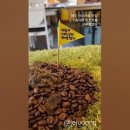 토우부동산공인중개사사무소 이미지