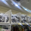 새문구방 이미지