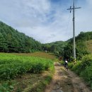 인제03-3 이미지