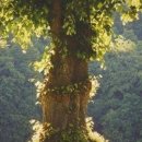 힐링 비즈니스 컨설팅 기록 🌳