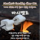 헤더스