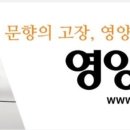 영양군 선거관리위원회 이미지