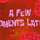 두리틀동물병원 이미지