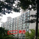 덕진-120 이미지
