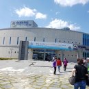 경포아쿠아리움박물관 이미지