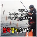 12월 23일 포항신항만 볼락열기 선상낚시