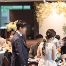 [부케] '부케바이민' 카라스카이블루 솔직후기