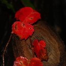 소현초등학교 이미지