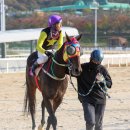 위즈스텝 스포츠조선