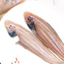 옹골씨푸드