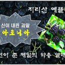 김원기농장 이미지