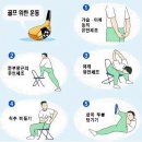 LEE 골프 이미지