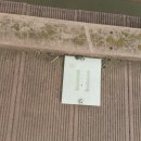 유방6통 이미지