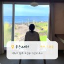 공존(共存) | 제주 동쪽 구좌읍 오션뷰 가성비 숙소 공존스테이